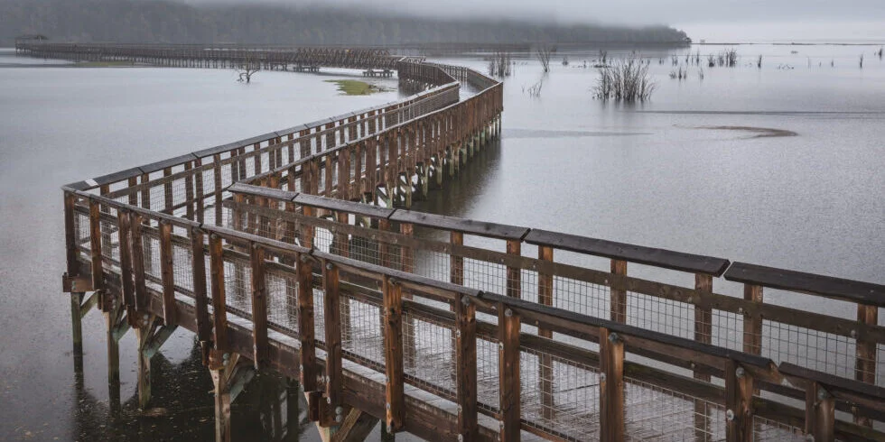 AI Is Widening Your Go-to-Market Execution Gap, Not Closing It: Why Your Team Is Moving Faster But Feels Stuck