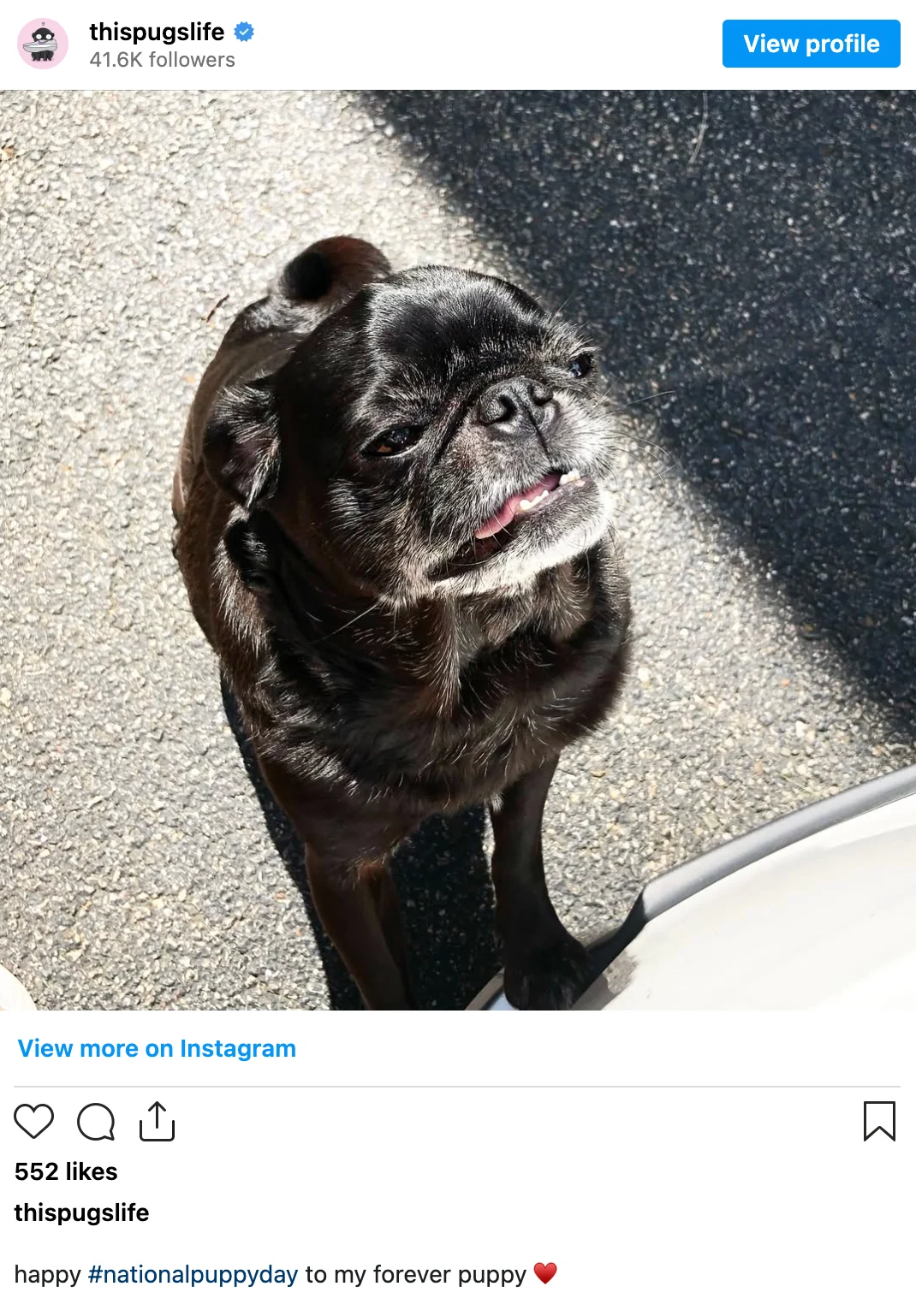 Mastering the Digital Narrative: The Strategic Imperative of Social Media Content Planning