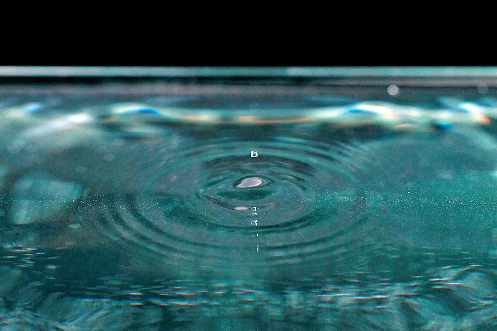 PayPal Honey Faces Network Terminations and Suspensions Following Allegations of Attribution Manipulation and Stand-Down Violations