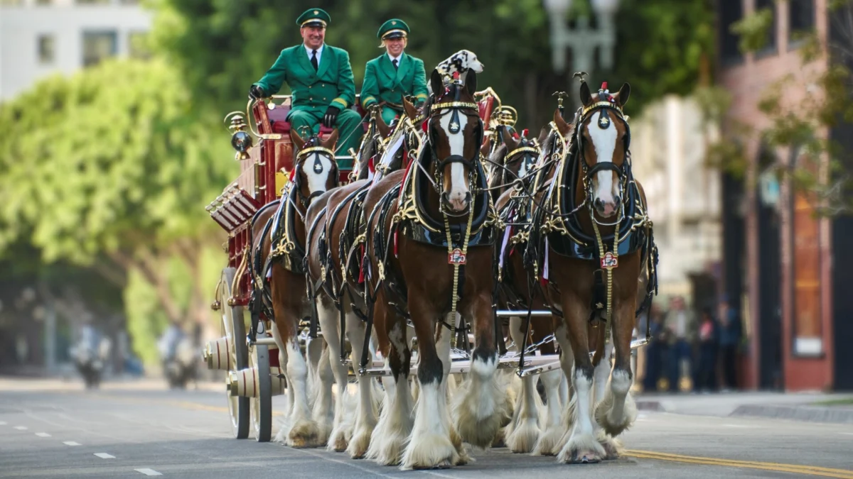 Budweiser Marks 150 Years with Patriotic Campaign Amid National Celebrations and Market Recovery Efforts