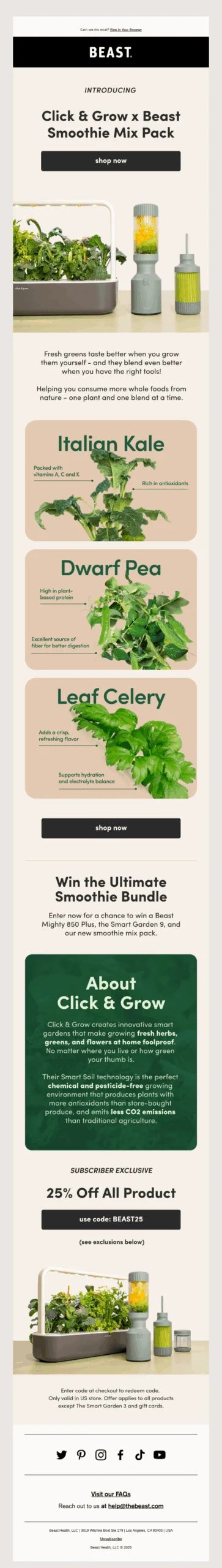 Mastering the Call to Action: The Indispensable Element Driving Email Marketing Conversions