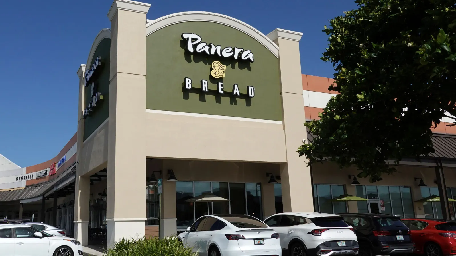 Andrew Rebhun Appointed Chief Marketing Officer at Panera Bread to Drive Brand Transformation and Growth