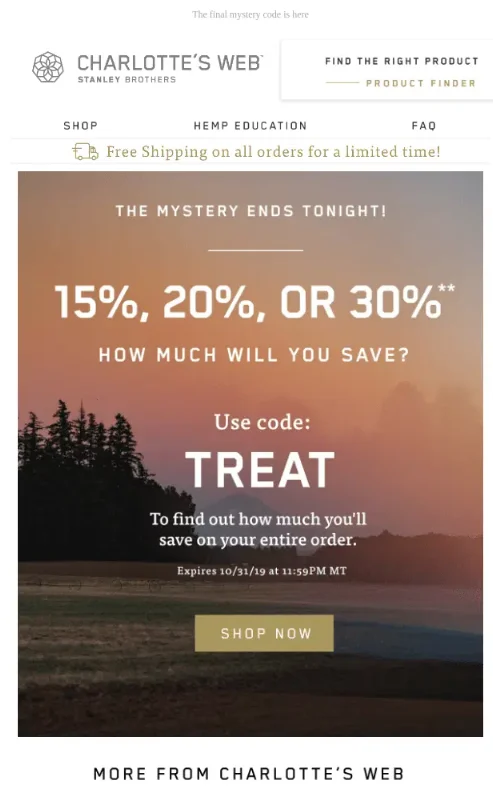 Strategic Discounting: How Creative Coupon Codes Drive E-commerce Success in the Black Friday Rush.