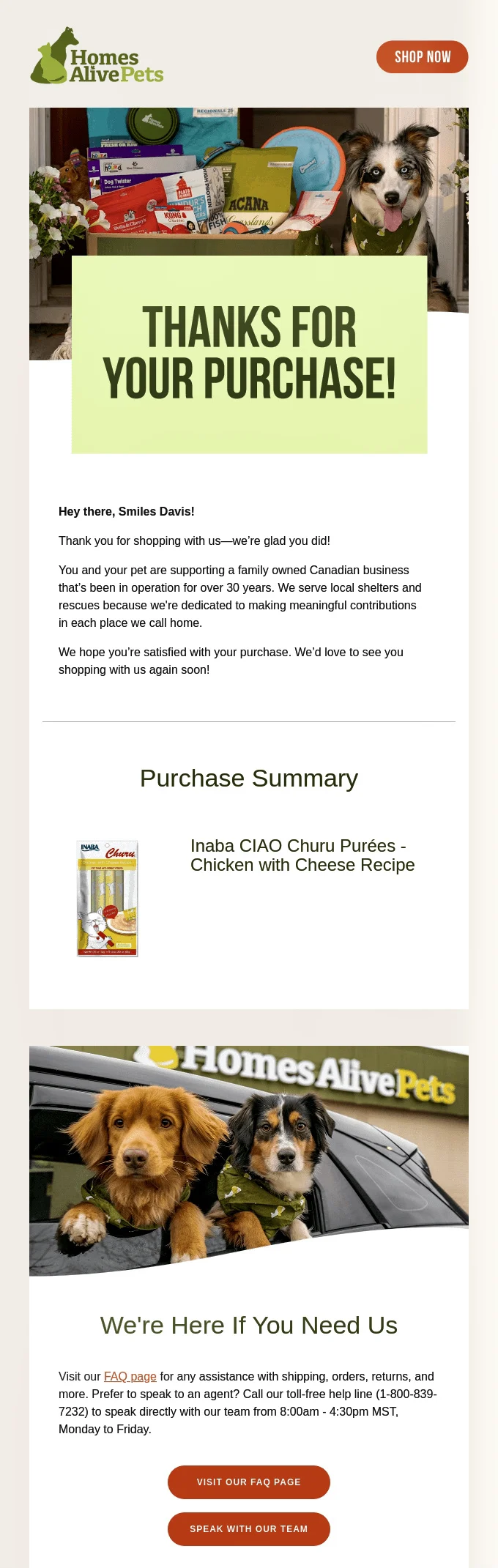 The Strategic Imperative of Email Marketing: Unlocking Revenue and Ownership in the Digital Age